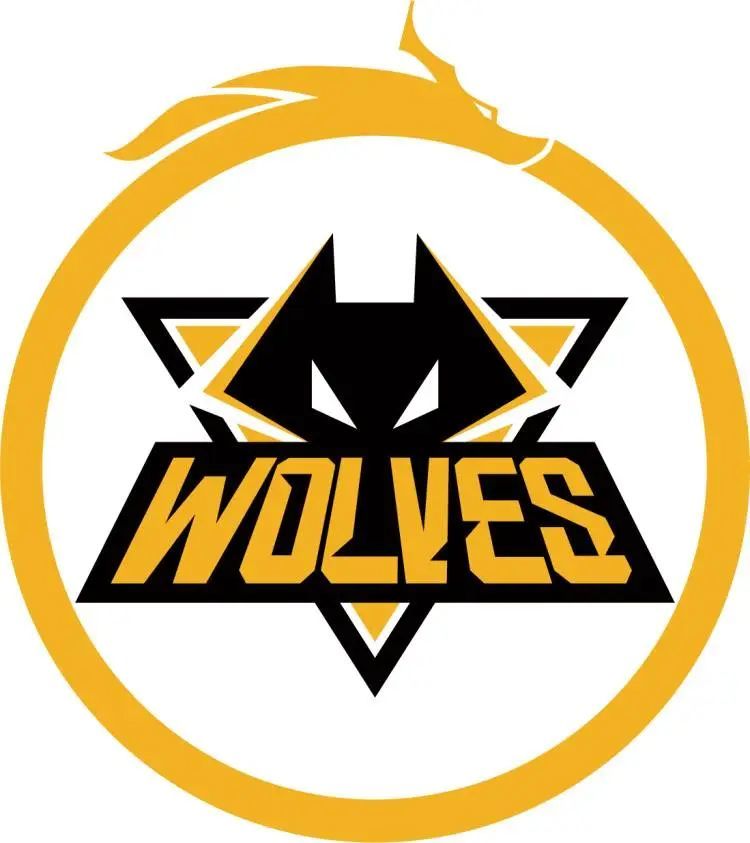 确保功能不 确保功能不